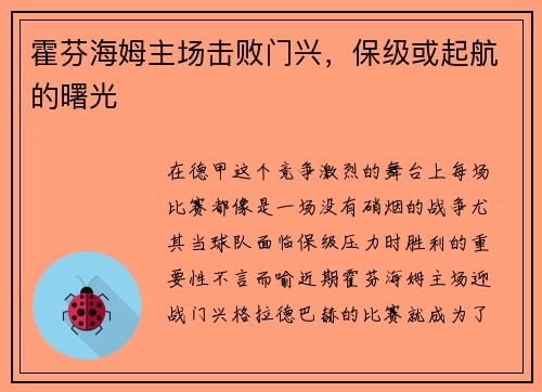 霍芬海姆主场击败门兴，保级或起航的曙光