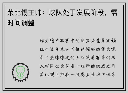 莱比锡主帅：球队处于发展阶段，需时间调整