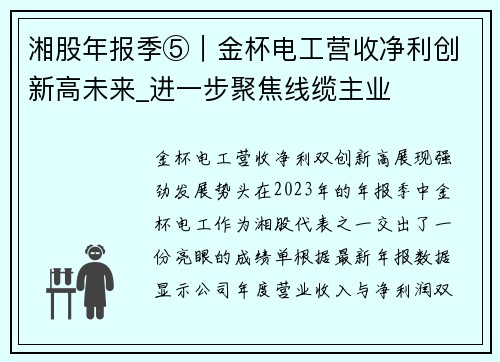 湘股年报季⑤｜金杯电工营收净利创新高未来_进一步聚焦线缆主业