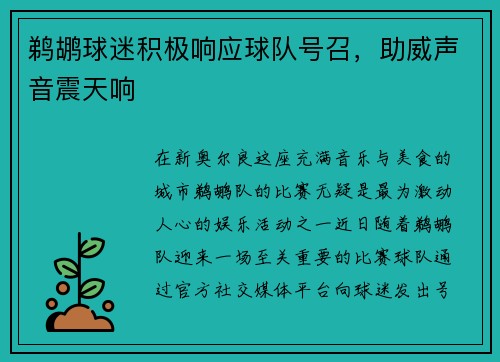 鹈鹕球迷积极响应球队号召，助威声音震天响